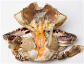 白斑病患者吃螃蟹时需要注意哪些问题？