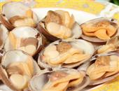蛤蜊可以和海帶一起做湯嗎 常喝健康又美味