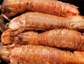分享关于皮皮虾的六大保健功效