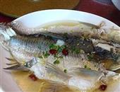 午餐鱼的功效与作用_午餐鱼的营养价值_午餐鱼的吃法