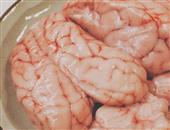 猪脑的选购_猪脑的存储_猪脑的制作技巧_猪脑的食用方法