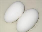 鹅蛋富含卵磷脂 健脑护肾好食材