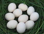 乌鸡蛋的功效与作用_乌鸡蛋营养价值_乌鸡蛋食用禁忌