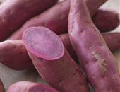 紫薯抗癌能力超强 要健康可多吃