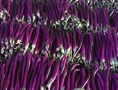紫皮茄子的功效与作用_紫皮茄子的适合体质_食用禁忌