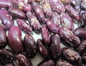 紫花豆的功效与作用_紫花豆的适合体质_如何挑选紫花豆