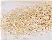 高粱米的选购技巧_高粱米的存储_高粱米的食用方法