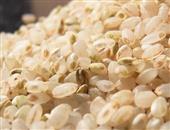 白米饭也营养 胚芽米更营养