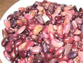 红花豆的功效与作用_红花豆的营养成分