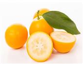 金橘的功效与作用_适合体质_食用禁忌_如何挑选_保存方法