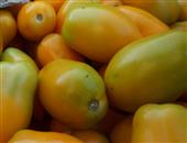 奶柿子的功效与作用_奶柿子的营养价值_奶柿子的适用人群_奶柿子的食用禁忌