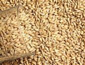 大麦的功效与作用_大麦的营养价值_大麦的适合体质