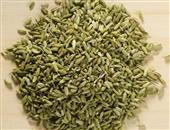 茴香籽的功效与作用_茴香籽的营养价值_茴香籽的适用人群