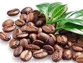 咖啡豆如何选咖啡才能美味还健康？