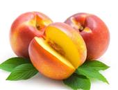 孕妇能吃油桃吗