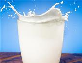 喝牛奶會胖嗎