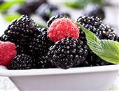 营养师盘点黑莓的7大保健功效