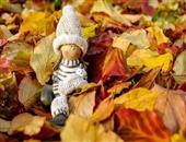 坐浴后导致无精怎么办