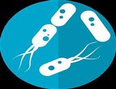 婴儿肠道细菌感染症状 婴儿肠道感染怎么办