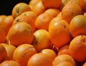 柑橘是酸性还是碱性 为你介绍柑橘的营养价值