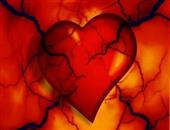 急性心脑血管病有哪些心脑血管疾病该如何预防