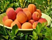 桃子的营养价值是什么 介绍桃子的相关知识