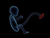 孕二十周胎儿有多大 孕二十周胎儿的发育情况