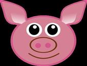 豬鏈球菌病腦炎傳染嗎 豬鏈球菌病有哪些癥狀
