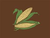 喝玉米须茶的保健作用 关于玉米须的开发与利用
