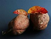 胆管癌能吃红薯吗 胆管癌的原因是什么呢