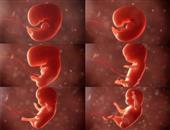 孕晚期b超数据要注意什么 能看出还有多久要生吗