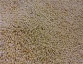 黄小米和黑小米有什么区别 营养价值大比拼