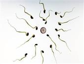 精子发黄怎么回事 精子健康的判断标准