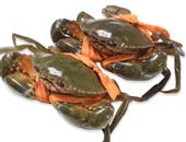 大閘蟹怎么吃 吃螃蟹的禁忌有哪些