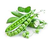 鲜豌豆的功效与作用_鲜豌豆的营养价值