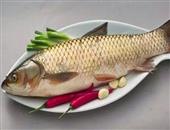 草鱼的功效与作用及禁忌,草鱼的营养价值