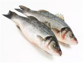 鲈鱼的营养价值 分享鲈鱼的几个营养食谱