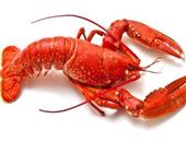 吃龙虾7注意 虾头和虾线千万不要吃饮食禁忌