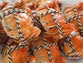 吃螃蟹有什么禁忌呢 螃蟹的营养及选购技巧