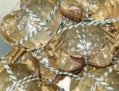 分享清蒸大闸蟹的做法 教你制作美味可口的大闸蟹