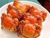 两个妙招帮你保存大闸蟹的鲜美食材选购