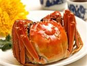 大闸蟹怎么吃的丝肉不剩 10手法方可吃出鲜嫩可口