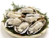 牡蛎健康吃法 牡蛎的营养功效