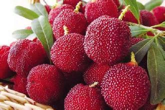 杨梅有虫能吃吗？如何清洗才干净