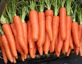 四款健康又瘦身的营养早餐