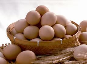 婴幼儿可以吃鸡蛋吗？宝宝吃鸡蛋的六大误区