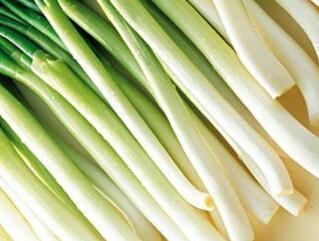 养生：男人补肾壮阳首选3种菜