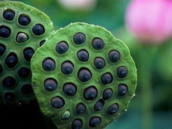 血压低应该要多吃这些食物