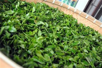 茶叶选购指南:四招挑出优质茶叶 茶叶选购指南:四招挑出优质茶叶