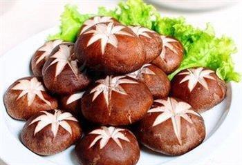 不同菇类的不同做法保持味道鲜美